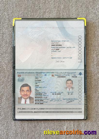 Lebanon passport 2022-present photolook